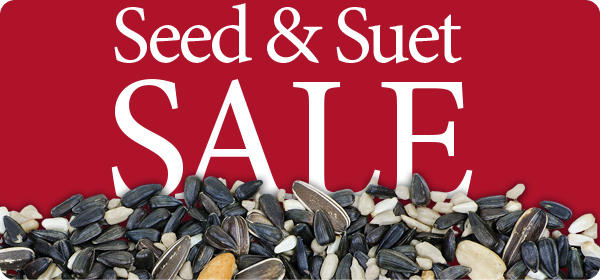 Seed & Suet Sale