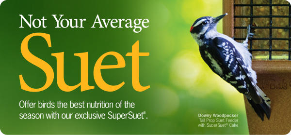 SuperSuet