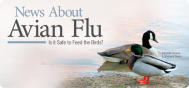 EDU Avian Flu 2204E
